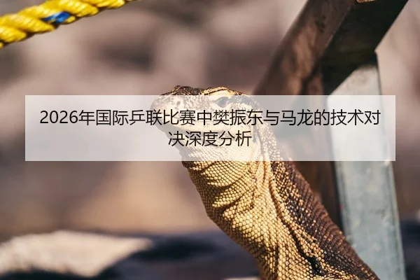 2026年国际乒联比赛中樊振东与马龙的技术对决深度分析