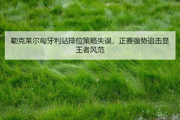 lei-ke-lai-er-xiong-ya-li-zhan-pai-wei-ce-lve-shi-wu-zheng-sai-qiang-shi-zhui-ji-xian-wang-zhe-feng-fan-2-872.jpg