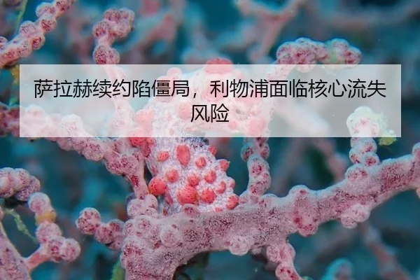 sa-la-he-xu-yue-xian-jiang-ju-li-wu-pu-mian-lin-he-xin-liu-shi-feng-xian-2-422.jpg