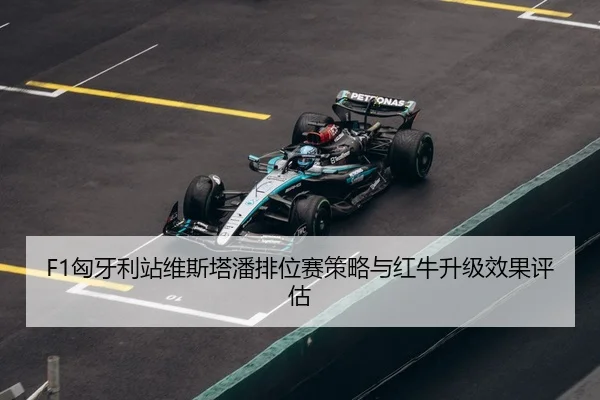 xiong-ya-li-zhan-wei-si-ta-pan-pai-wei-sai-ce-lve-yu-hong-niu-sheng-ji-xiao-guo-ping-gu-3-386.jpg